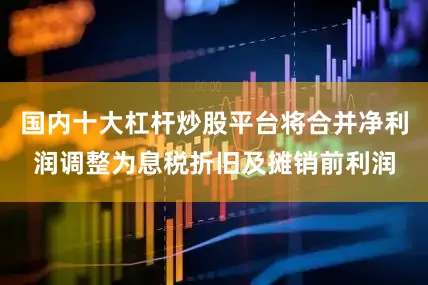 国内十大杠杆炒股平台将合并净利润调整为息税折旧及摊销前利润